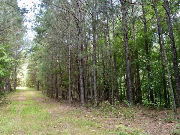 0 Nickelsville Road, Ranger, GA 30734