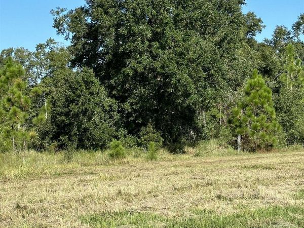 0 Hampton Ridge Court, Mobile, AL 36608