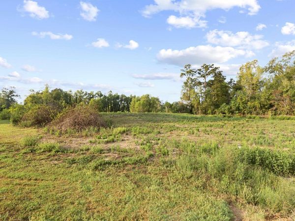 TBD Lot 20-A Amite Acres, Prairieville, LA 70769