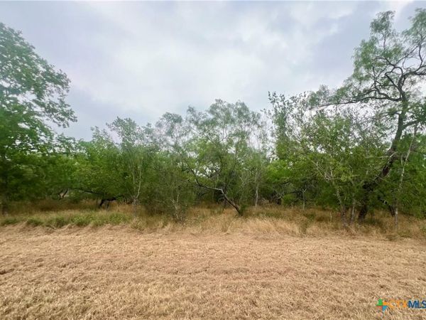 Lot 3 Wisteria Lane, Smiley, TX 78159