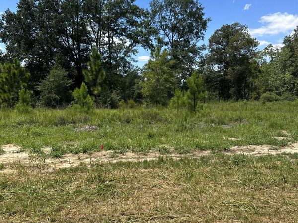 0 Hampton Ridge Court, Mobile, AL 36608