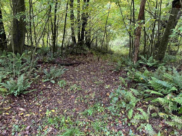 Lot 1 Deckers Trail Road, Masontown, WV 26542