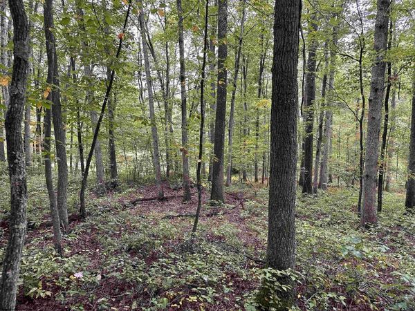 Lot 2 Deckers Trail Road, Masontown, WV 26542