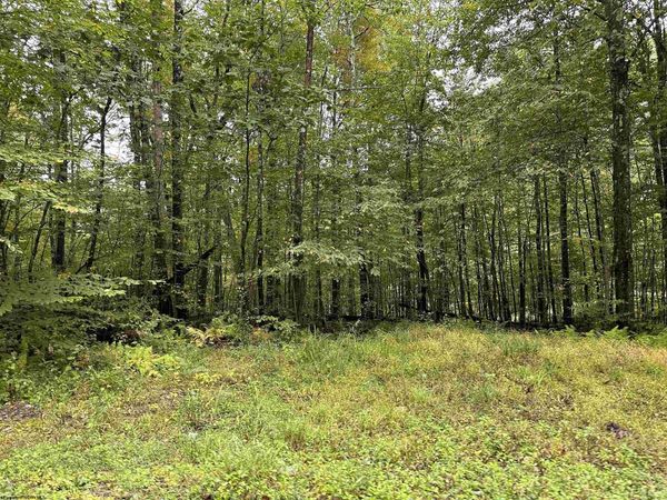 Lot 3 Deckers Trail Road, Masontown, WV 26542