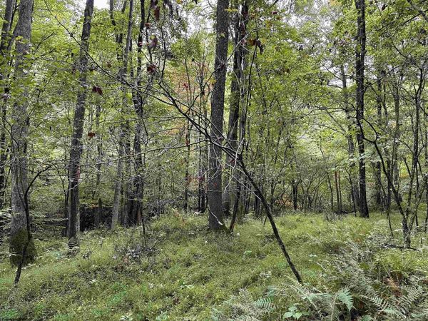 Lot 7 Deckers Trail Road, Masontown, WV 26542