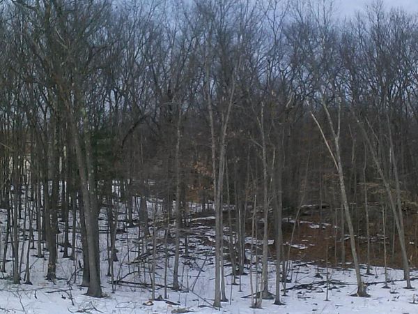 0 Silver St, Agawam, MA 01001