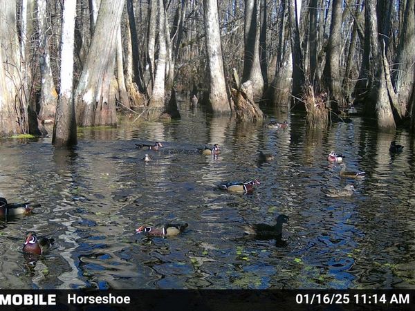 00 Quofaloma Road, Tchula, MS 39169