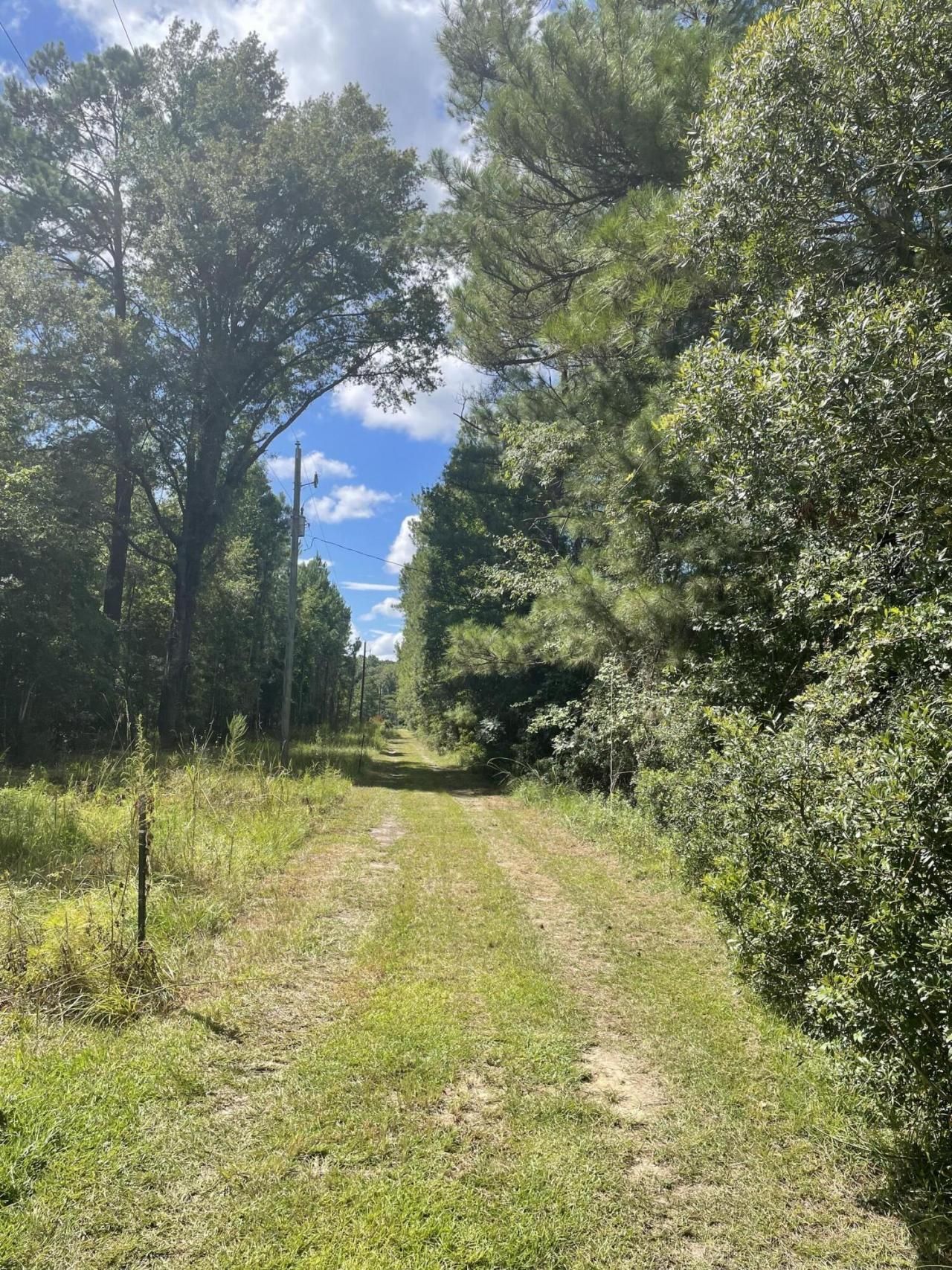 198 Dove Lane Photo 38