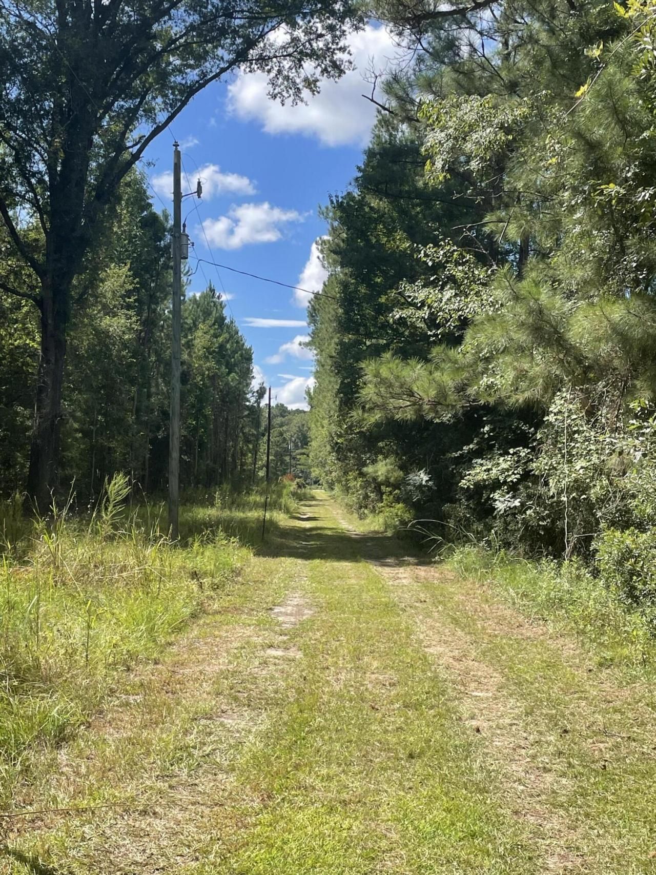 198 Dove Lane Photo 39