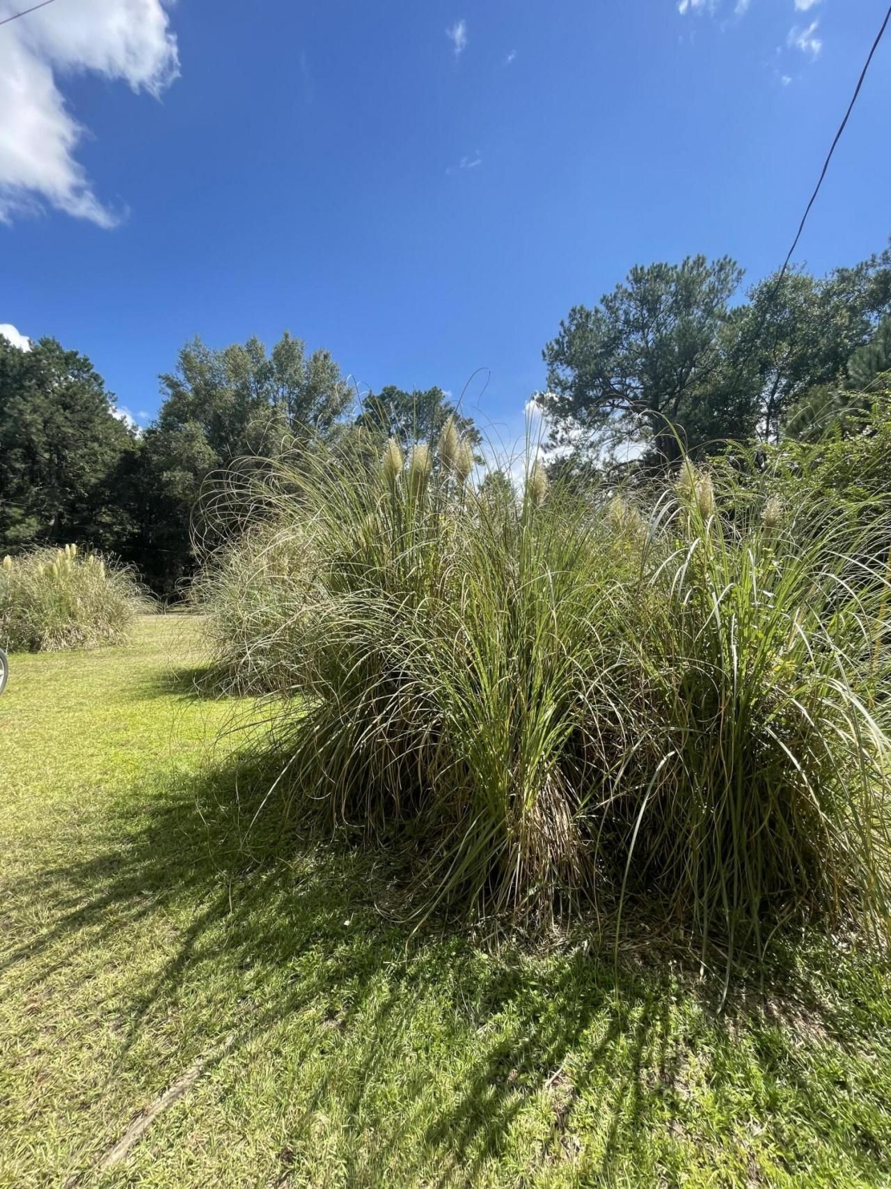 198 Dove Lane Photo 40