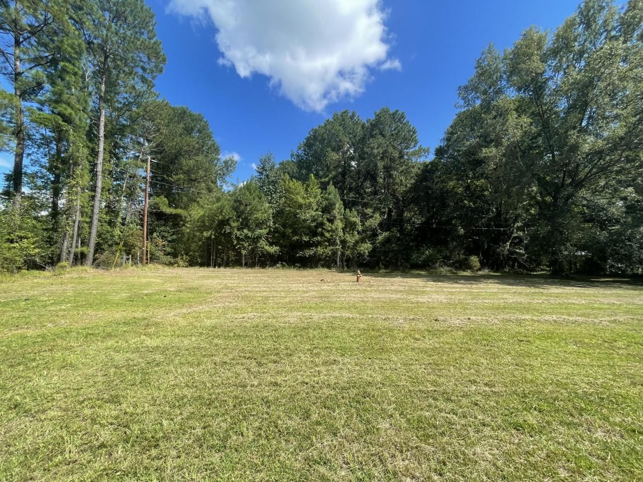 198 Dove Lane Photo 41