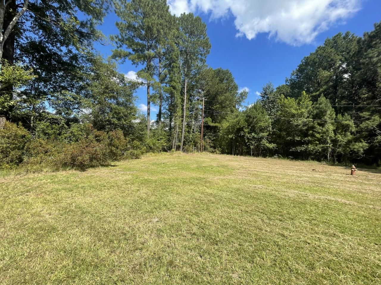 198 Dove Lane Photo 42