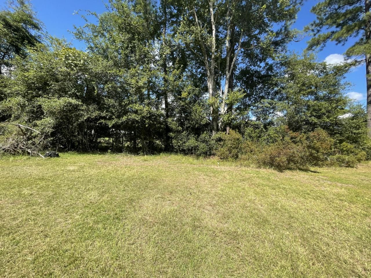 198 Dove Lane Photo 43