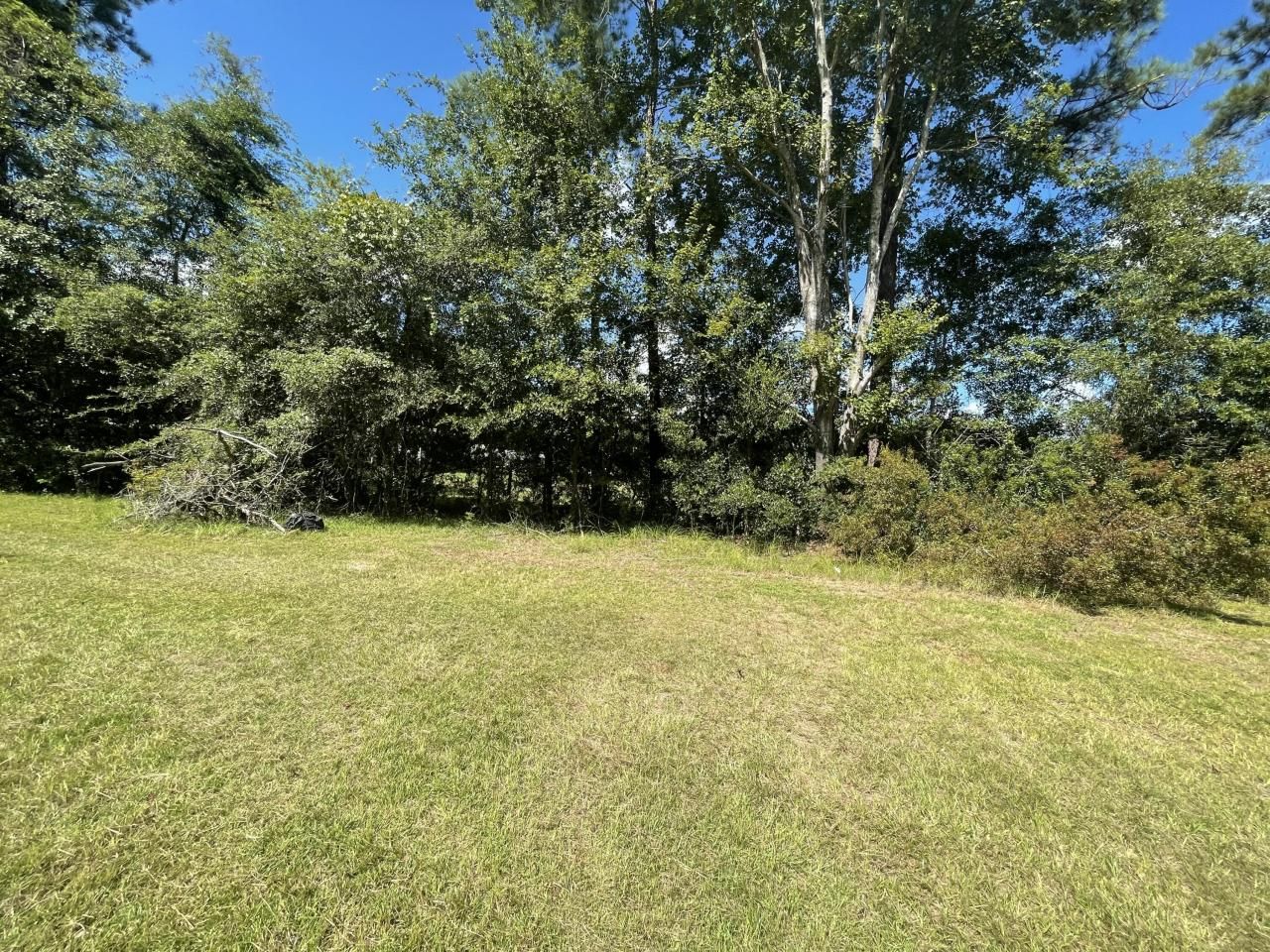 198 Dove Lane Photo 44