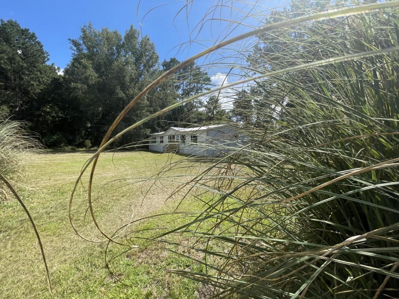 198 Dove Lane Photo 6