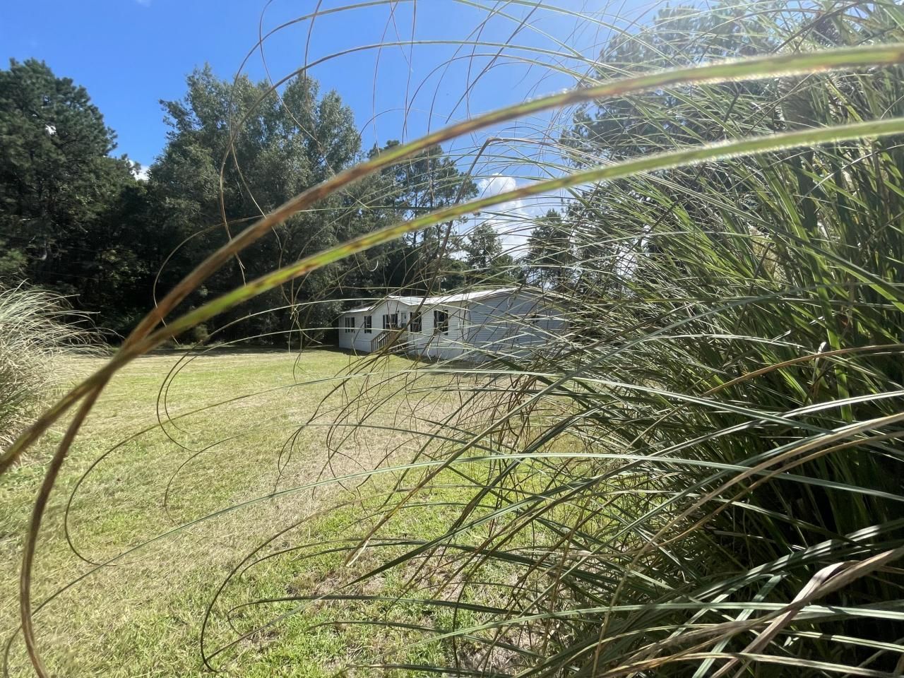 198 Dove Lane Photo 7