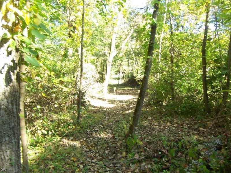 Arlington Road, North Canton, OH 44720 Photo 2