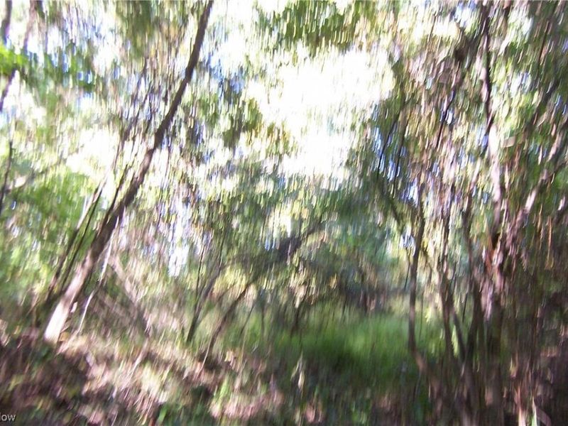 Arlington Road, North Canton, OH 44720 Photo 3