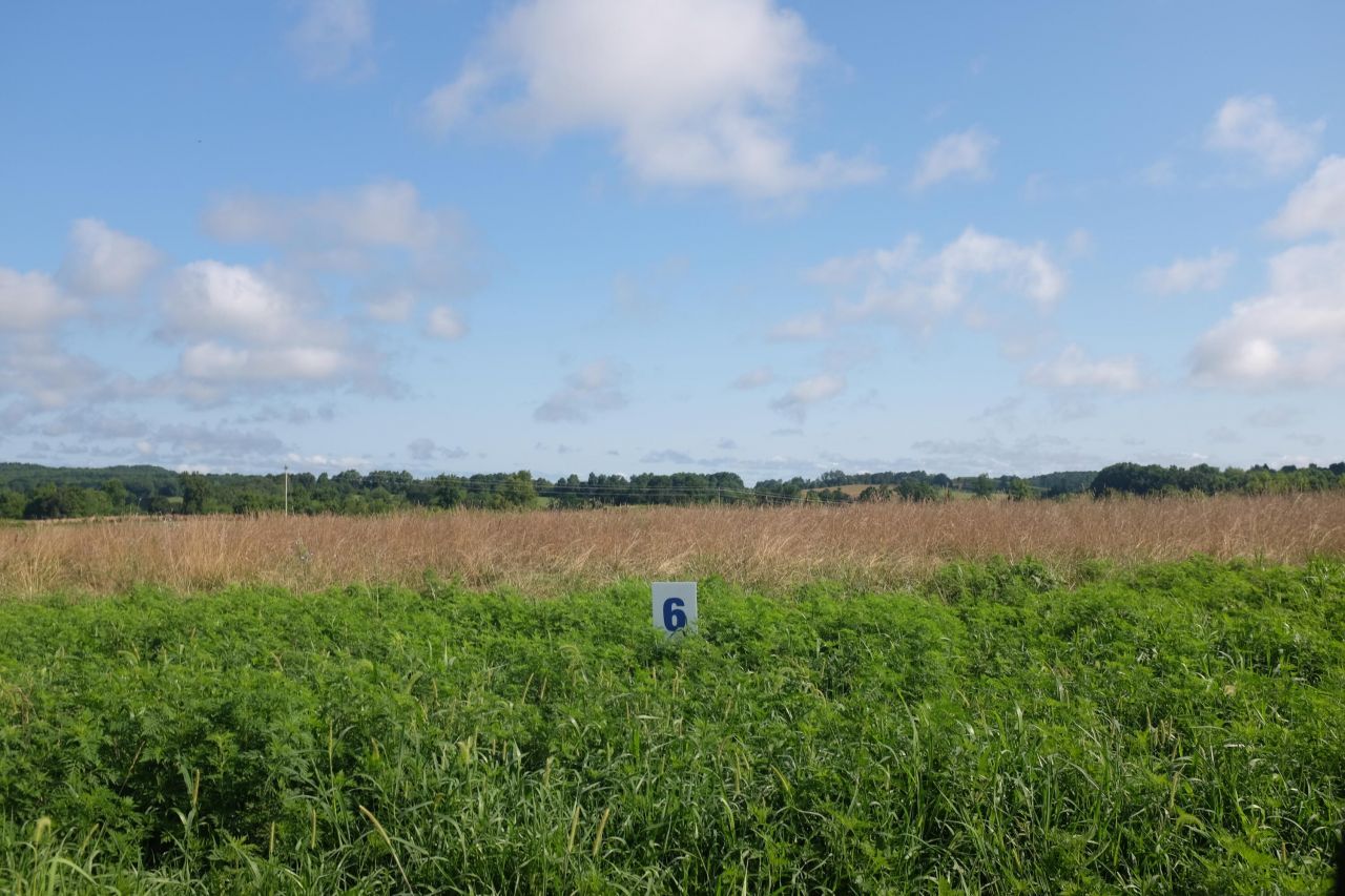 95 Squirrel Path, Lot #Lot 6, East Bernstadt, KY 40729 Main Photo