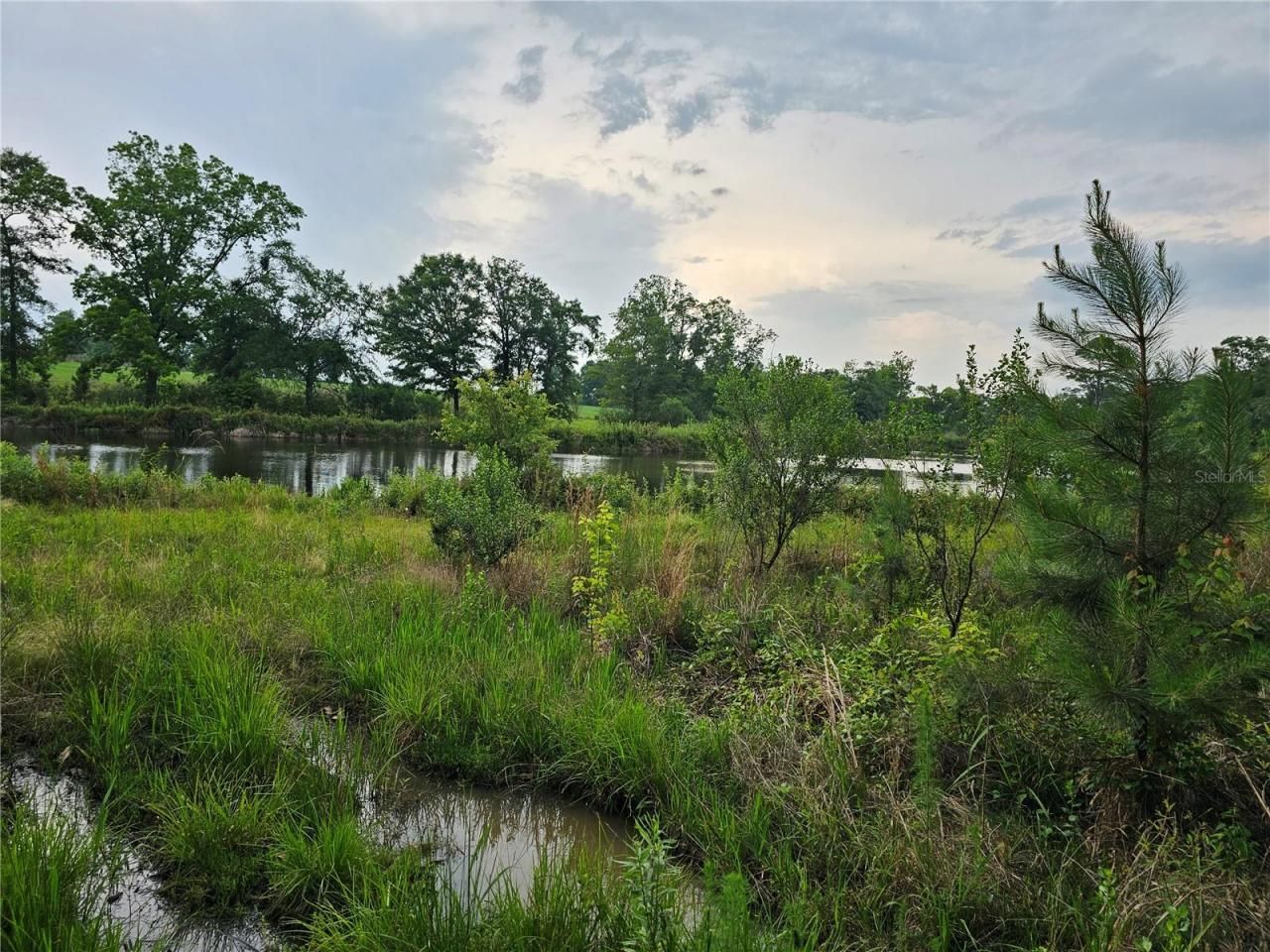 3602 Robert Murphy Road, Graceville, FL 32440 Photo