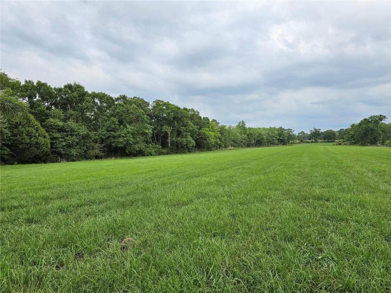 3602 Robert Murphy Road, Graceville, FL 32440 Photo