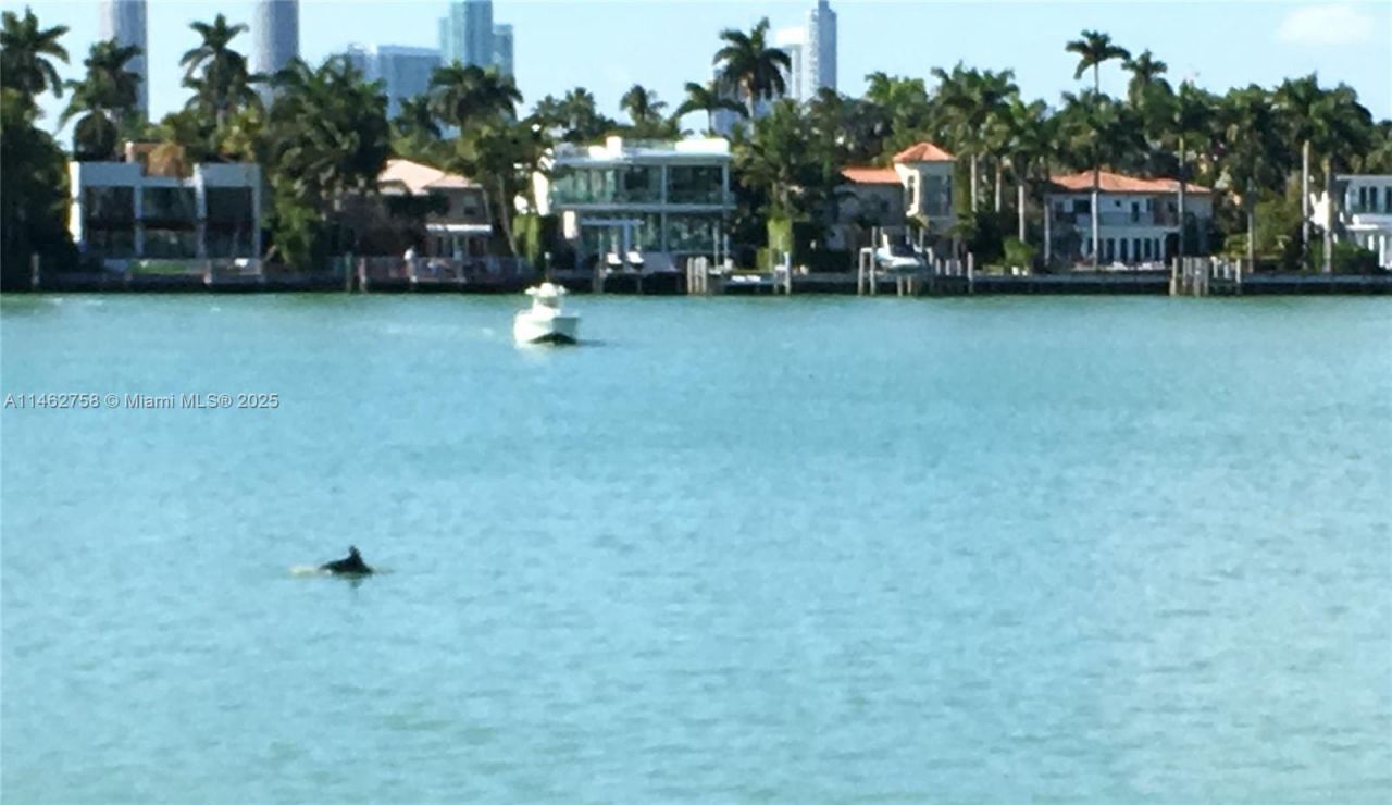 1 Century Ln, Unit 209, Miami Beach, FL 33139 Photo