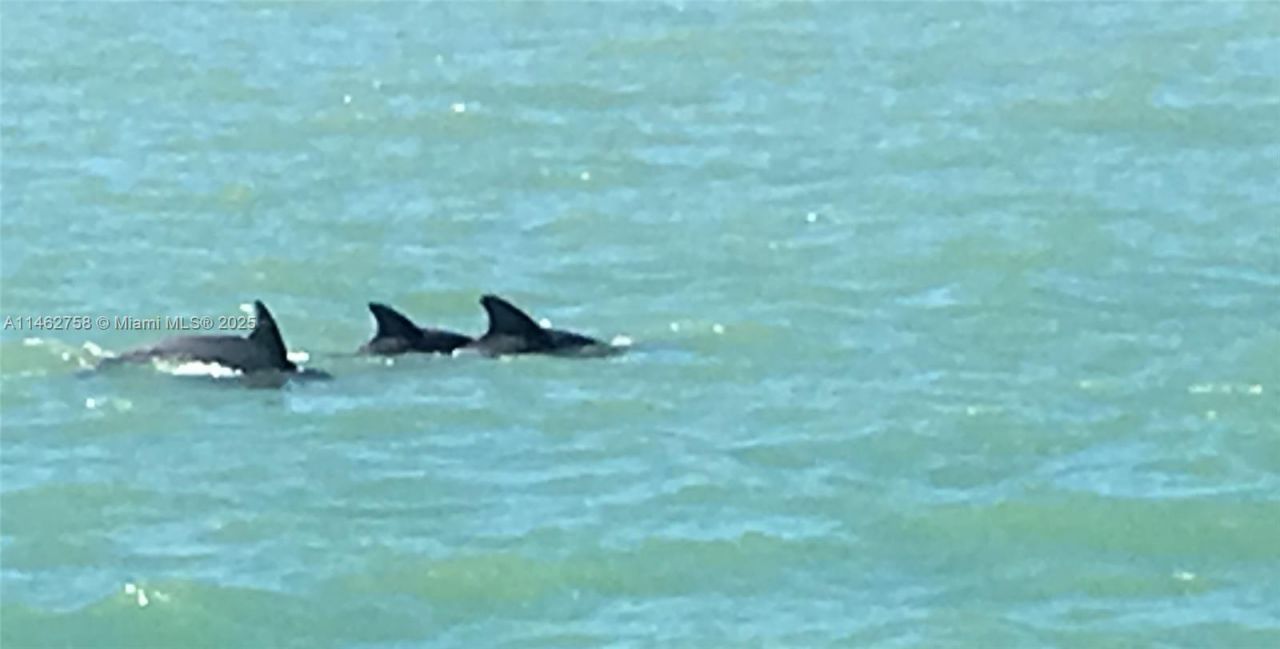 1 Century Ln, Unit 209, Miami Beach, FL 33139 Photo