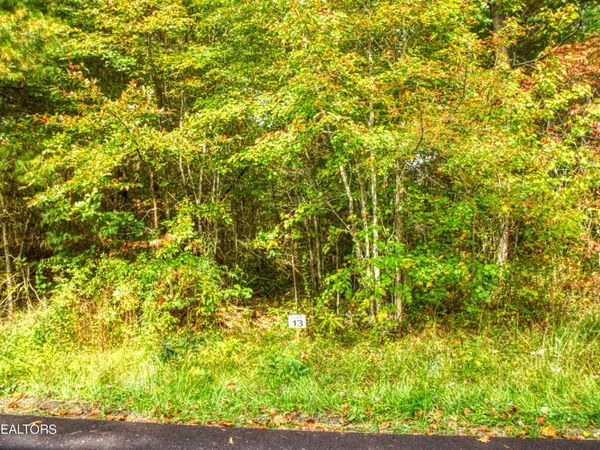 Lot 13 Old Mt Helen Rd, Allardt, TN 38504