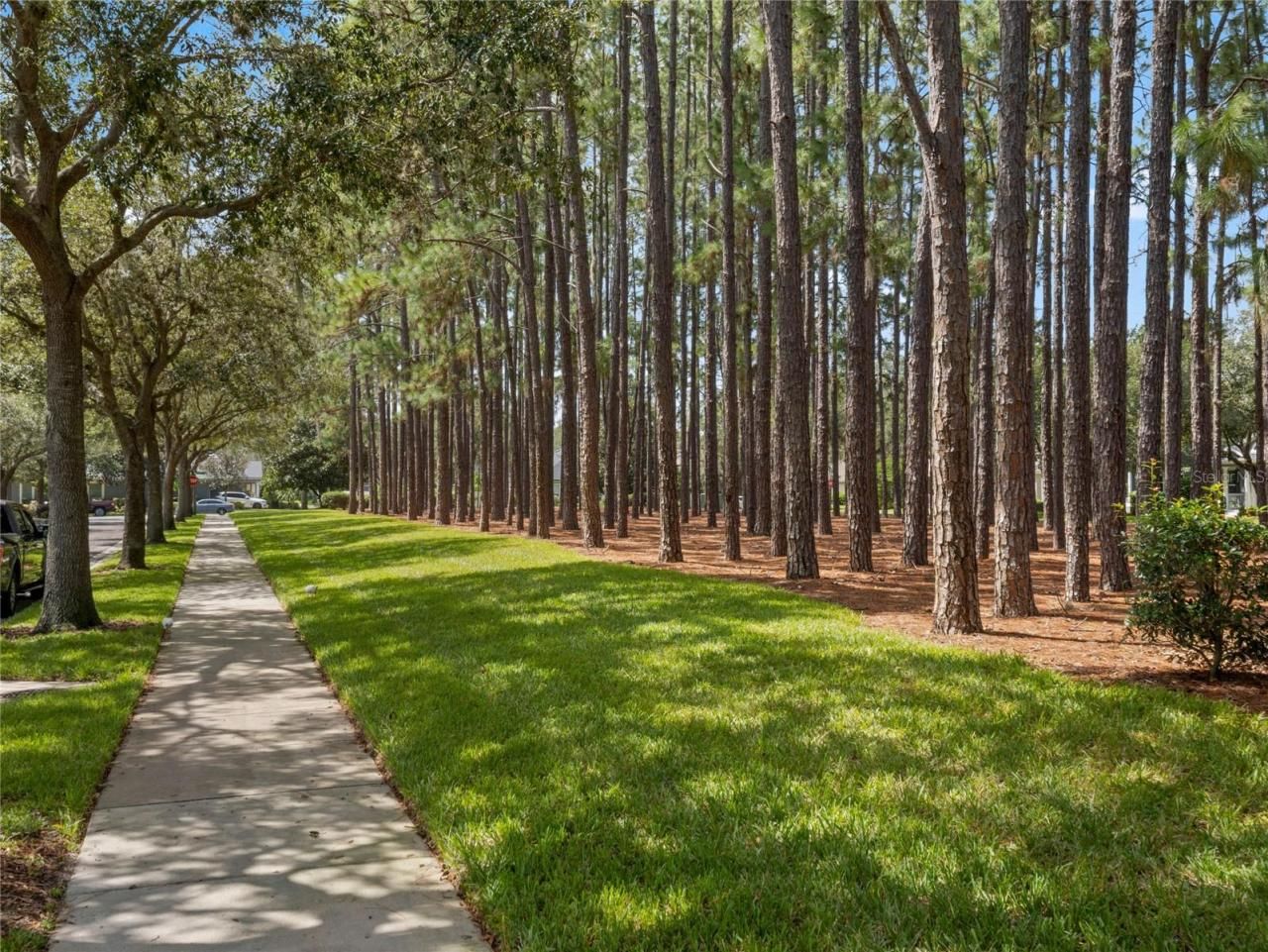 7011 Nobleton Drive, Windermere, FL 34786 Photo