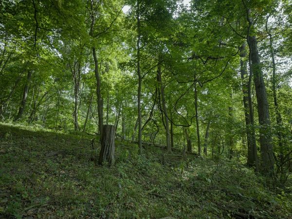 4820 Kopper Pond Road, Hanover, IL 61041