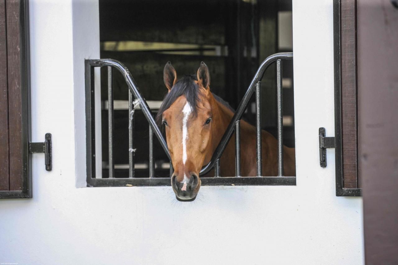 14484 Belmont Trace, Wellington, FL 33414 Photo