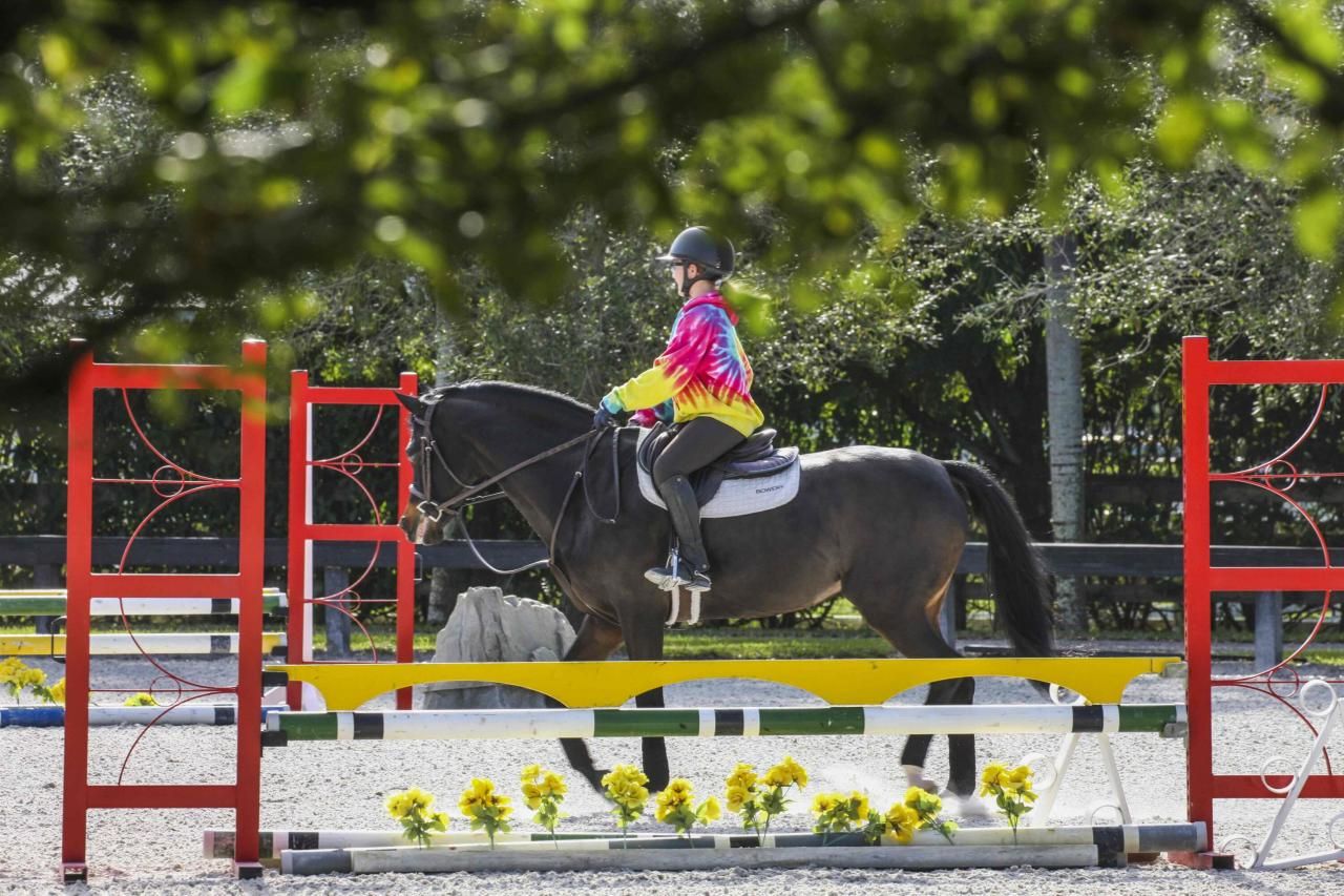 14484 Belmont Trace, Wellington, FL 33414 Photo