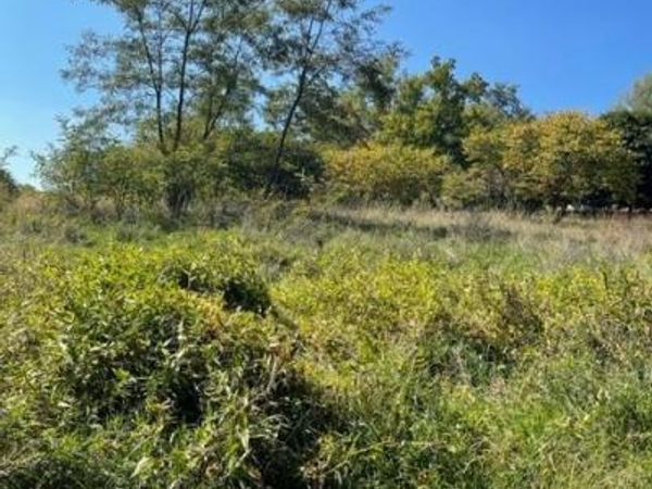 40 COLD SPRINGS ROAD, GETTYSBURG, PA 17325