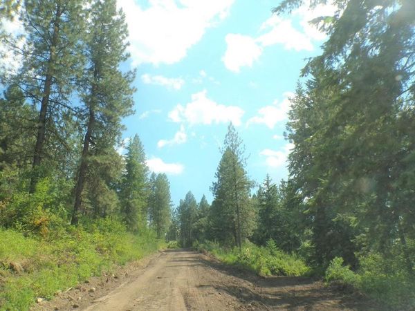 4XX A Buffy Ln, Inchelium, WA 99138