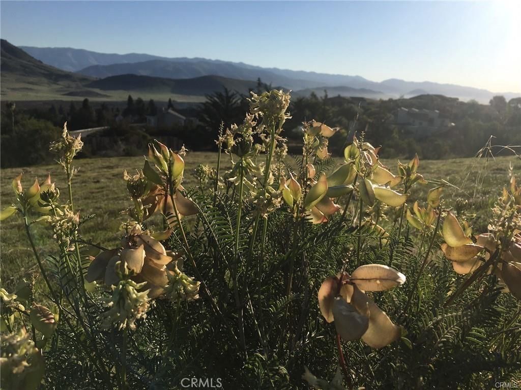 730 Via Laguna, San Luis Obispo, CA 93405 Main Photo