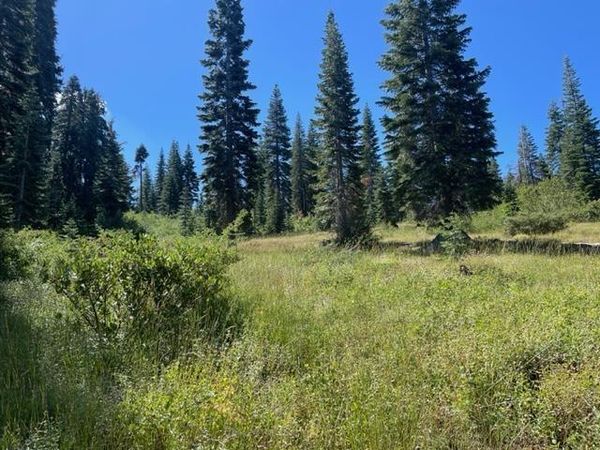 000 Bucks Lake Road, Bucks Lake, CA 95971