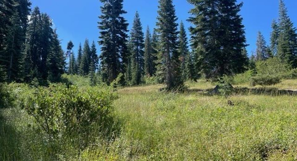 000 Bucks Lake Road, Bucks Lake, CA 95971 Photo