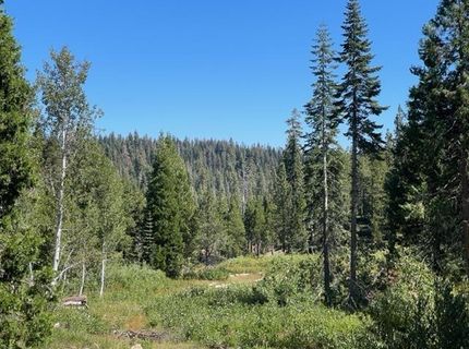 000 Bucks Lake Road, Bucks Lake, CA 95971 Photo