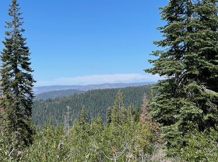 000 Bucks Lake Road, Bucks Lake, CA 95971 Photo