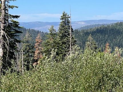 000 Bucks Lake Road, Bucks Lake, CA 95971 Photo