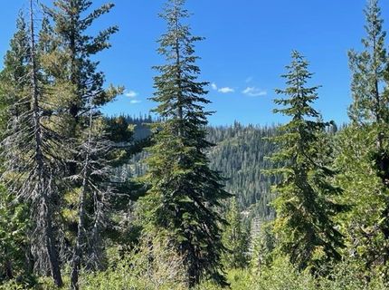000 Bucks Lake Road, Bucks Lake, CA 95971 Photo