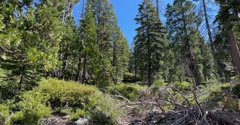 000 Bucks Lake Road, Bucks Lake, CA 95971 Photo