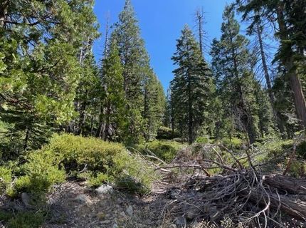000 Bucks Lake Road, Bucks Lake, CA 95971 Photo