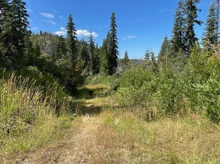 000 Bucks Lake Road, Bucks Lake, CA 95971 Photo