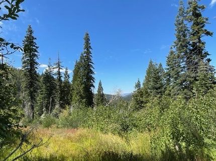 000 Bucks Lake Road, Bucks Lake, CA 95971 Photo