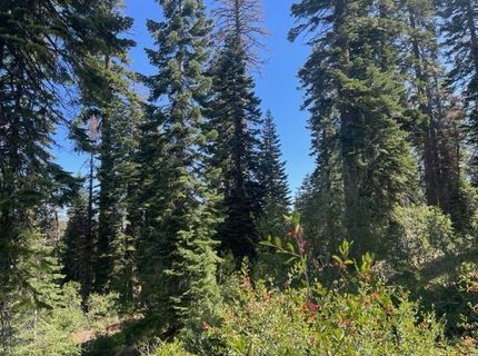000 Bucks Lake Road, Bucks Lake, CA 95971 Photo