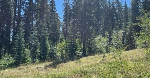 000 Bucks Lake Road, Bucks Lake, CA 95971 Photo