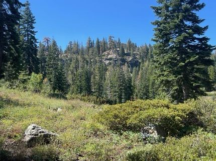 000 Bucks Lake Road, Bucks Lake, CA 95971 Photo
