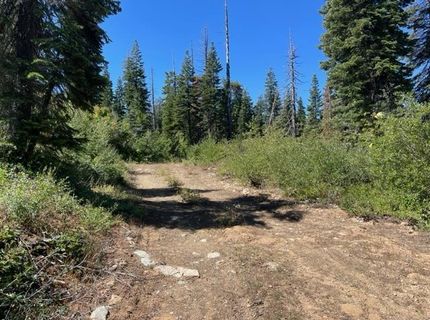 000 Bucks Lake Road, Bucks Lake, CA 95971 Photo