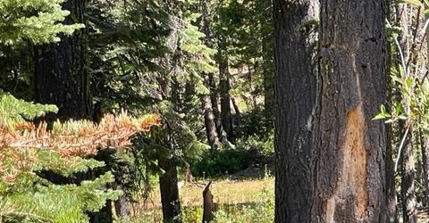 000 Bucks Lake Road, Bucks Lake, CA 95971 Photo